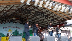 Poppy Mountain Bluegrass Festival